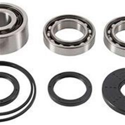 All Balls Powersports Drivetrain Bearings and Seals 22-52108